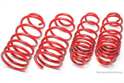 Technix lowering springs - technix,